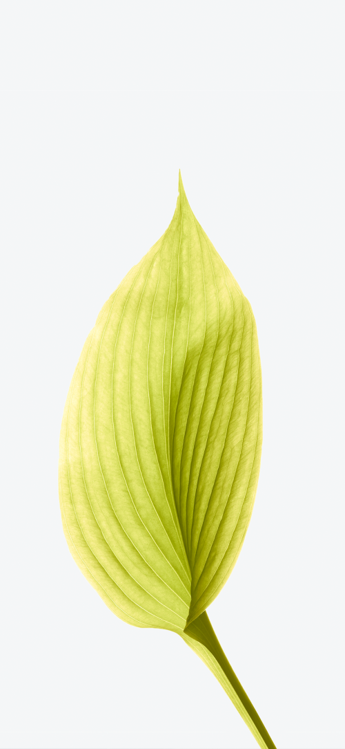 15.png