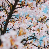 2019-04-11120647