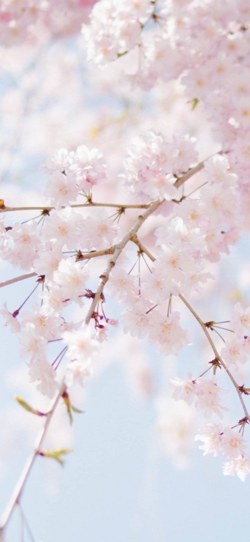 2019-04-11120650.jpg