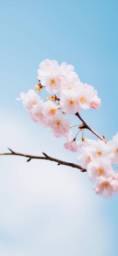 2019-04-11120654.jpg