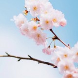 2019-04-11120654