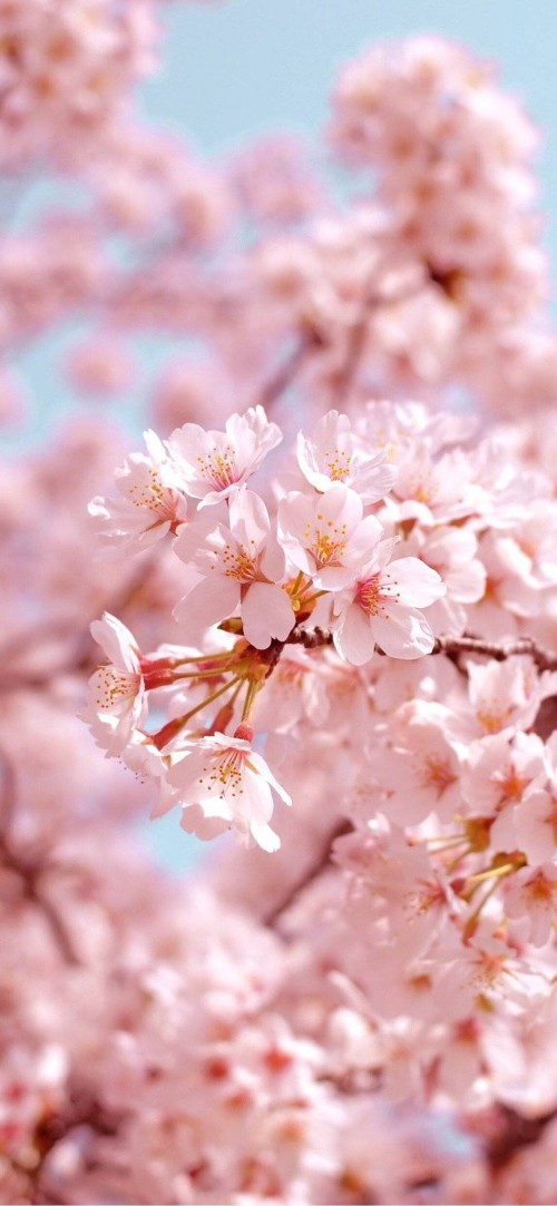 2019-04-11120718.jpg