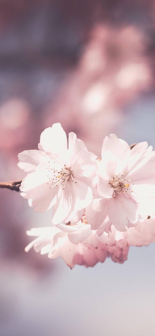 2019-04-11120722.jpg