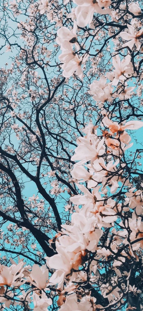 2019-04-11121229.jpg