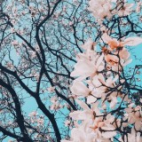 2019-04-11121229