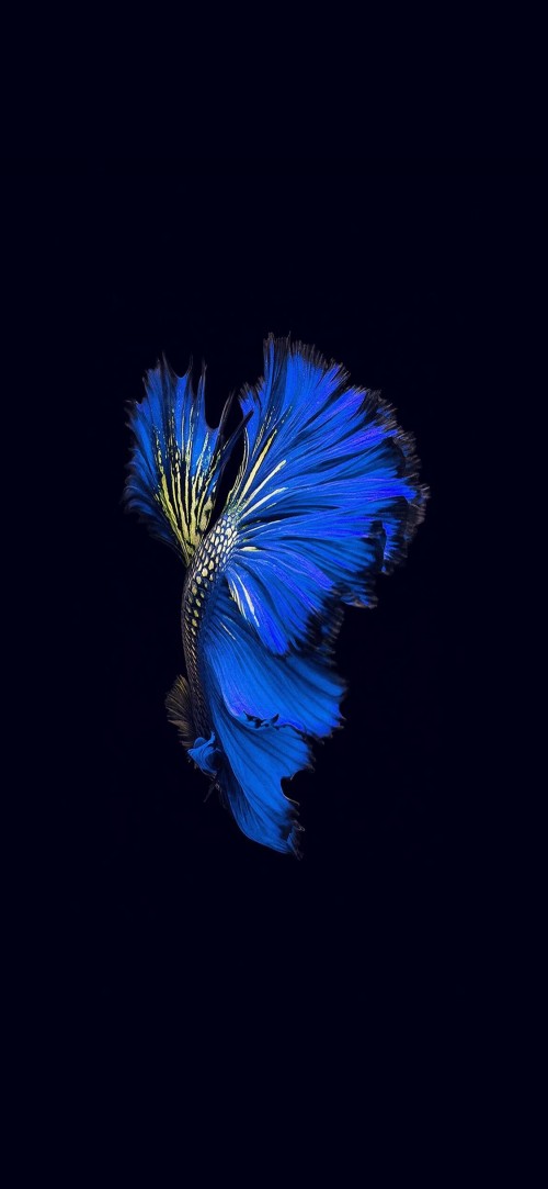 2019-04-16172624.jpg