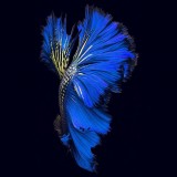 2019-04-16172624