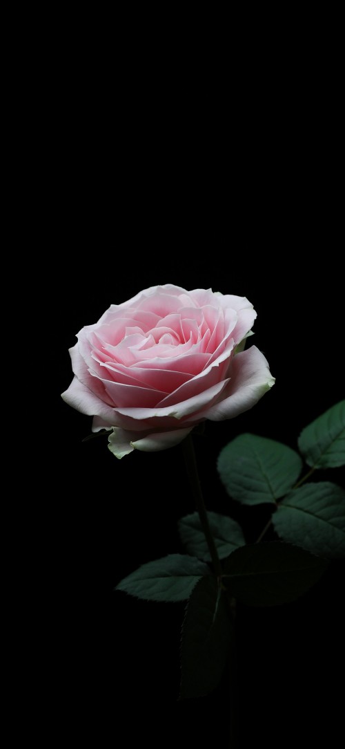 2019-04-24233200.jpg
