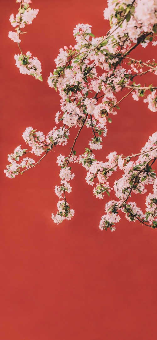 2019-04-24233228.jpg
