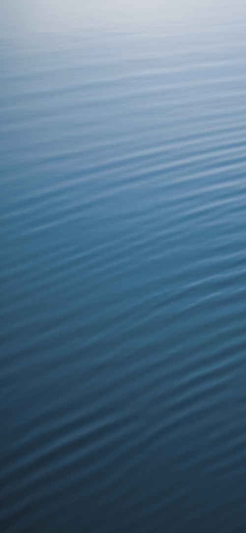 8.png