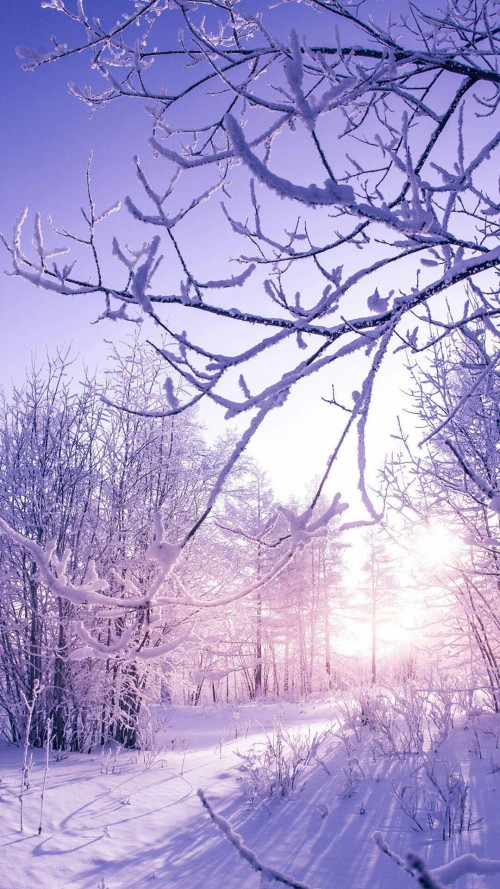 MagazinePic-01-2.3.001-bigpicture_01_9.jpg