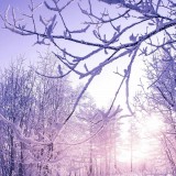 MagazinePic-01-2.3.001-bigpicture_01_9