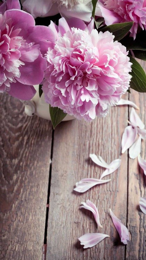 MagazinePic-05-2.3.001-bigpicture_05_3.jpg