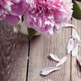 MagazinePic-05-2.3.001-bigpicture_05_3