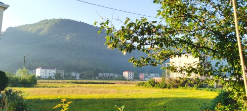 IMG_20251006_070558.jpg
